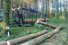 tn_Chargement bois en forêt